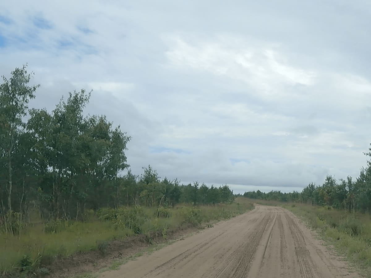 River Lake - NFS 4210 photo 4