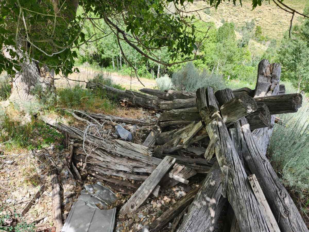 Bear Fork photo 2