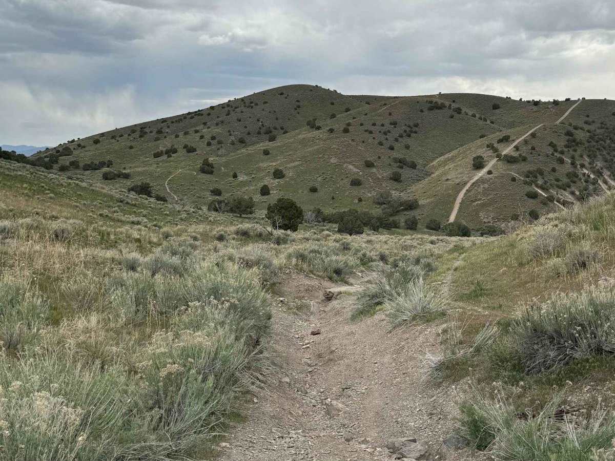 Lake Mountain Trail photo 3