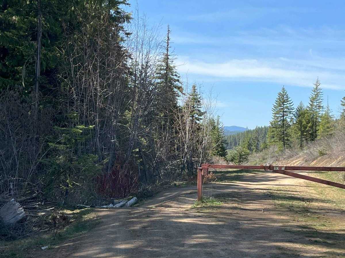 End of Brush Creek Road trail photo