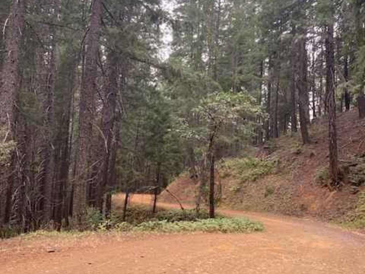 McCloud River 38N53 photo 2