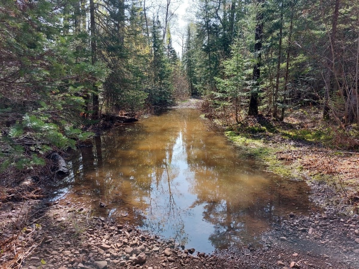 Horseshoe Harbor Road trail photo