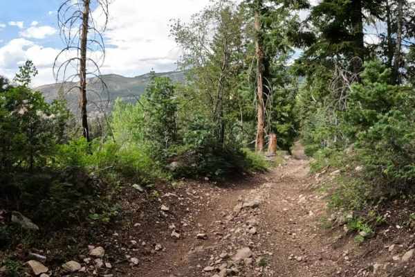 Harmon Trail