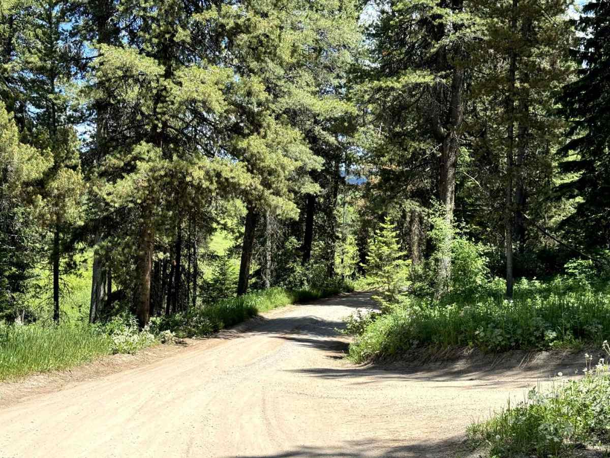 Pacific Creek Wilderness Road photo 2