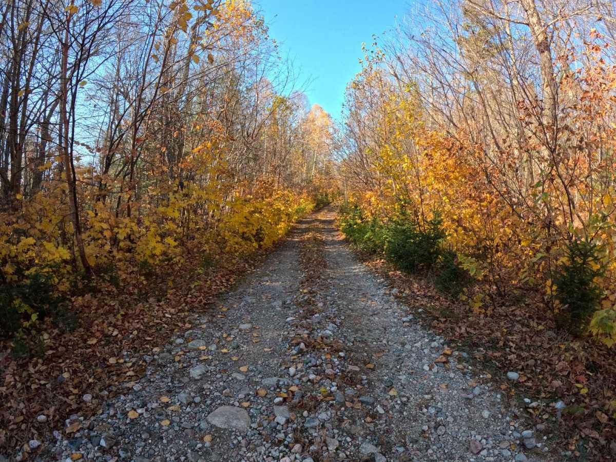 Expedition Trail trail photo