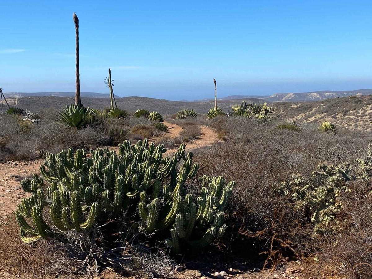 Mesa Redondo photo 6
