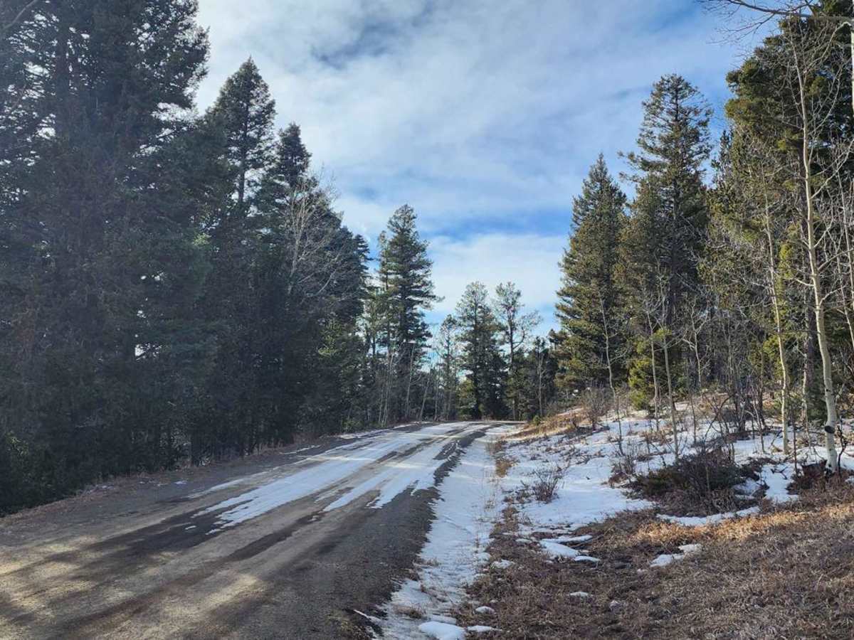 Forest Road 722 photo 2