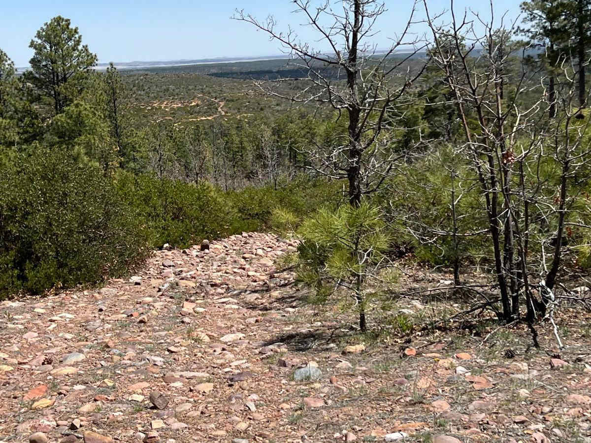 Telephone Ridge photo 6
