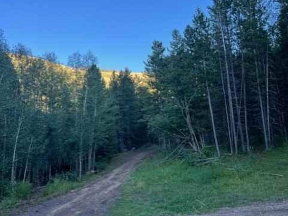 Buttar Springs Trail 7922 photo 6