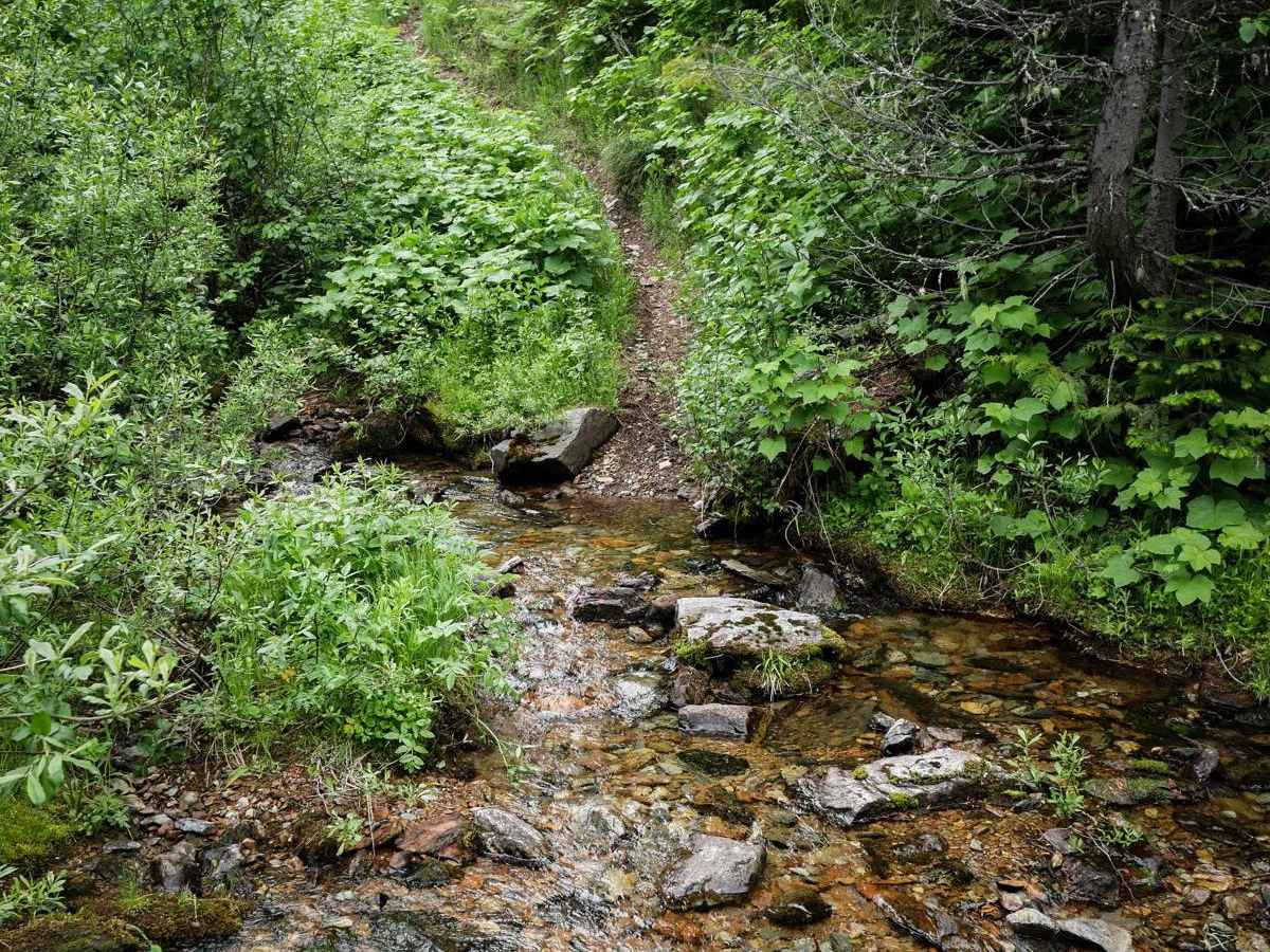 Flume Creek photo 2
