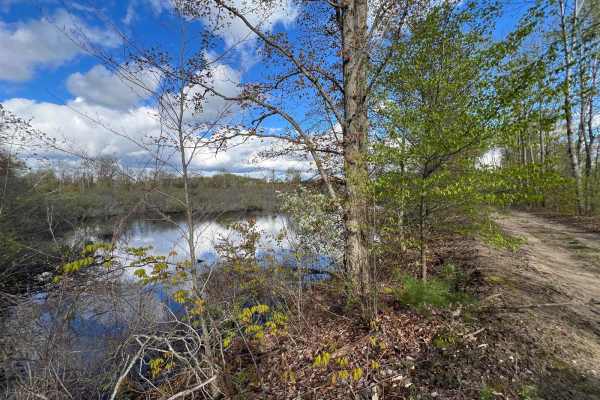 Mosquito Marsh Trail