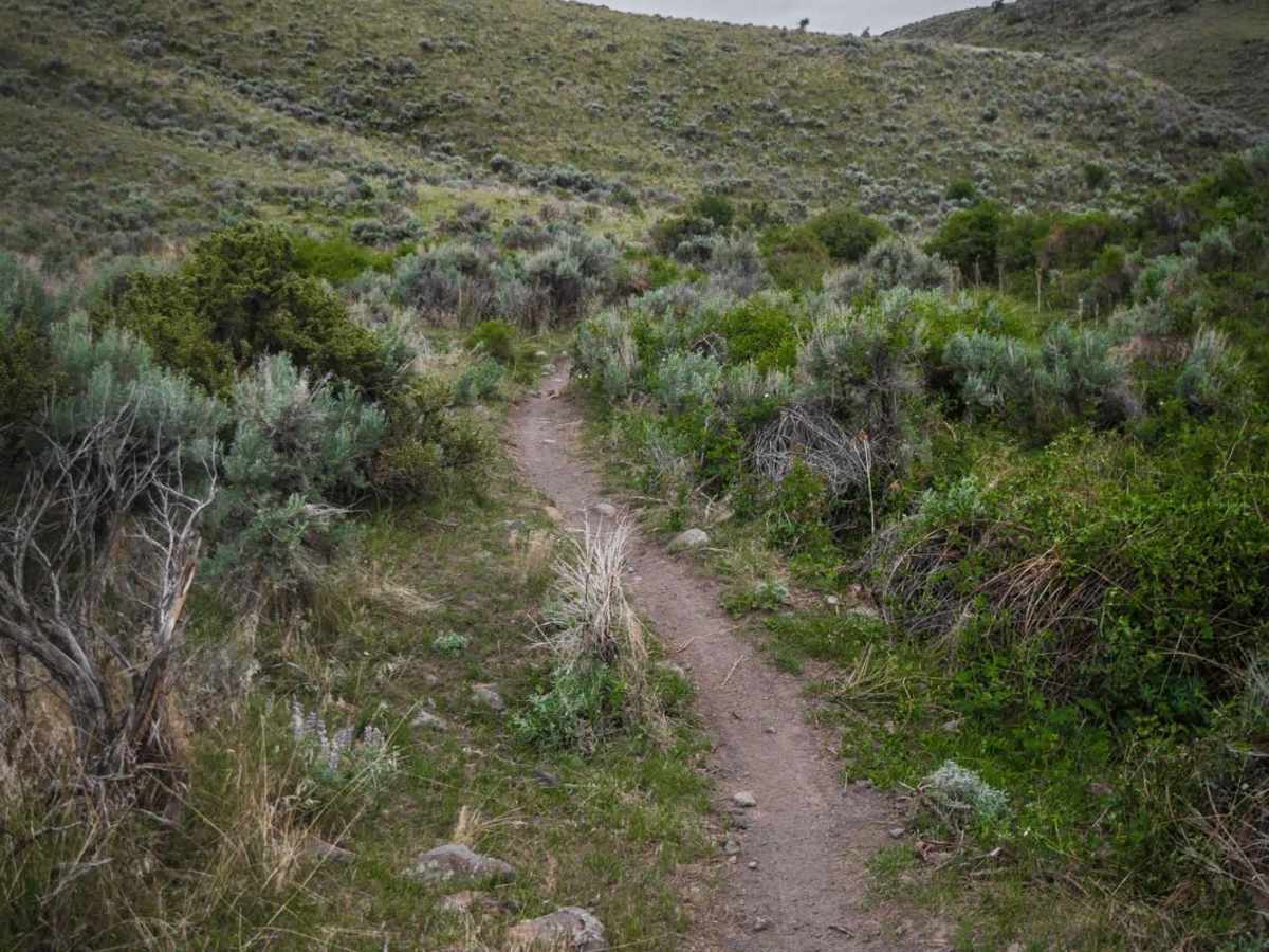Lower Dry Gulch photo 3
