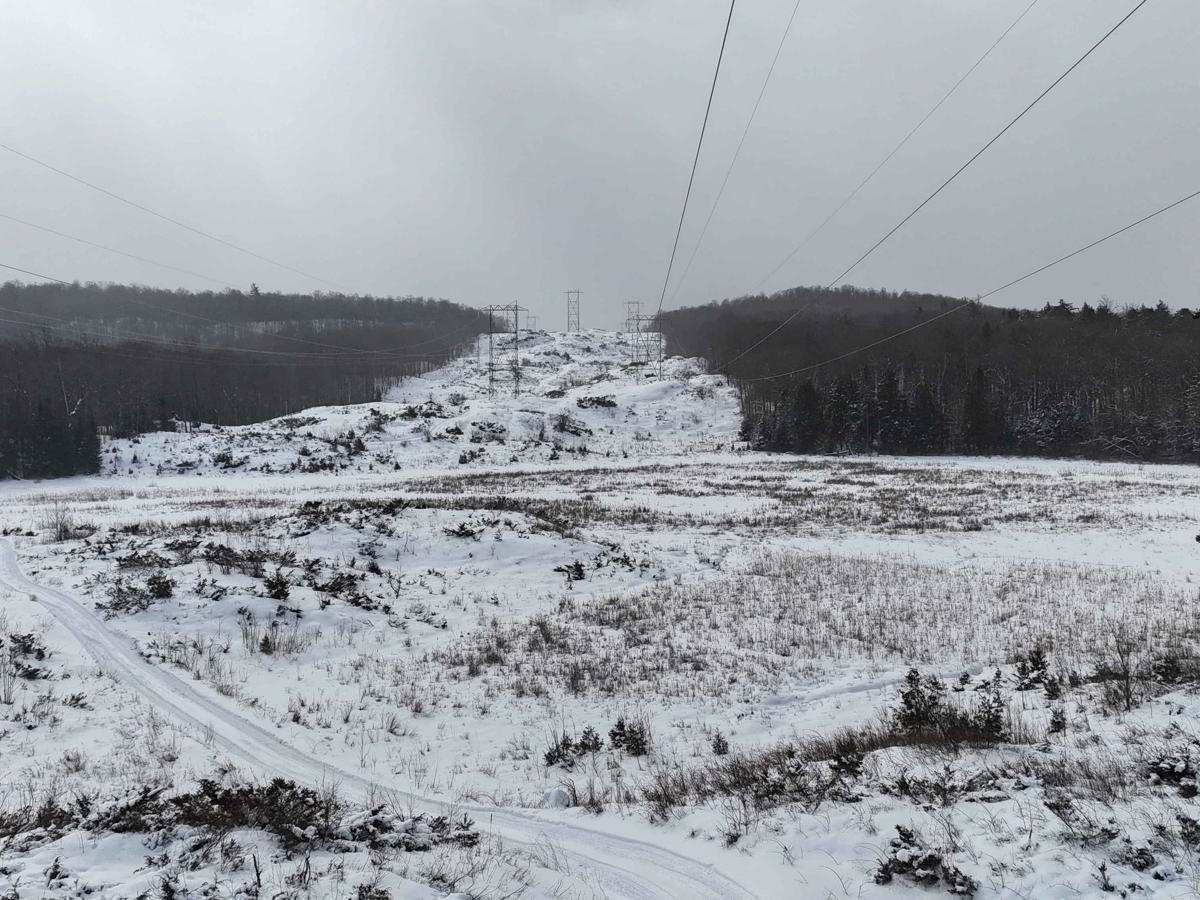 Darling Power Line photo 4