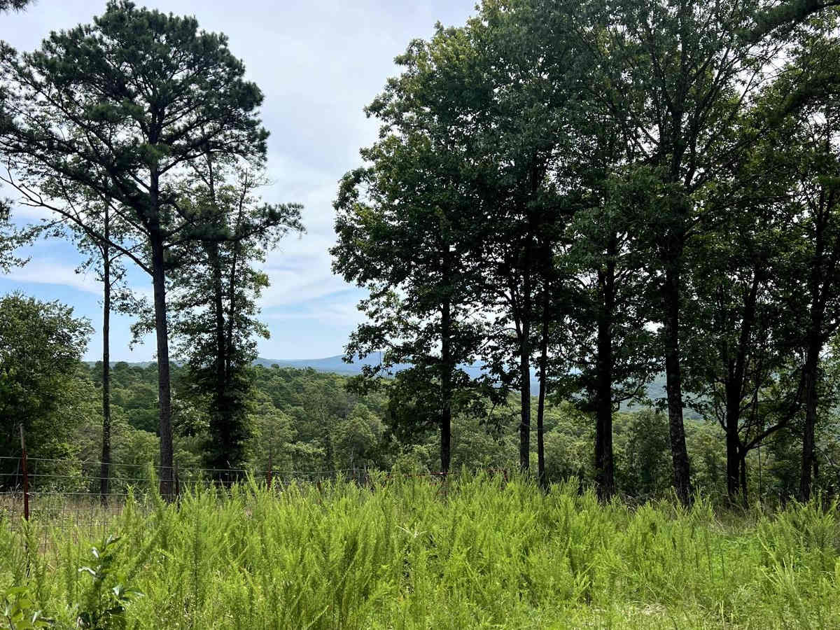 Walnut Ridge Connector trail photo