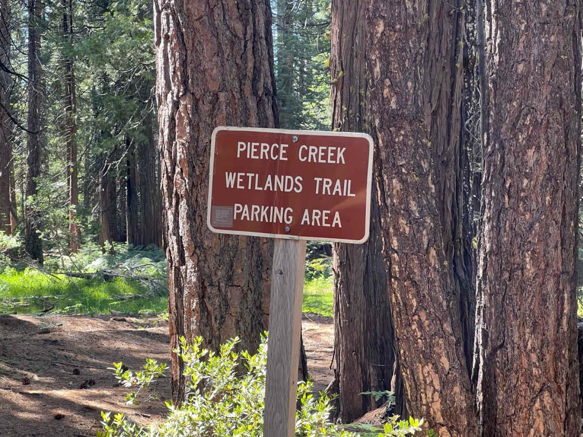 Pierce Loop trail photo