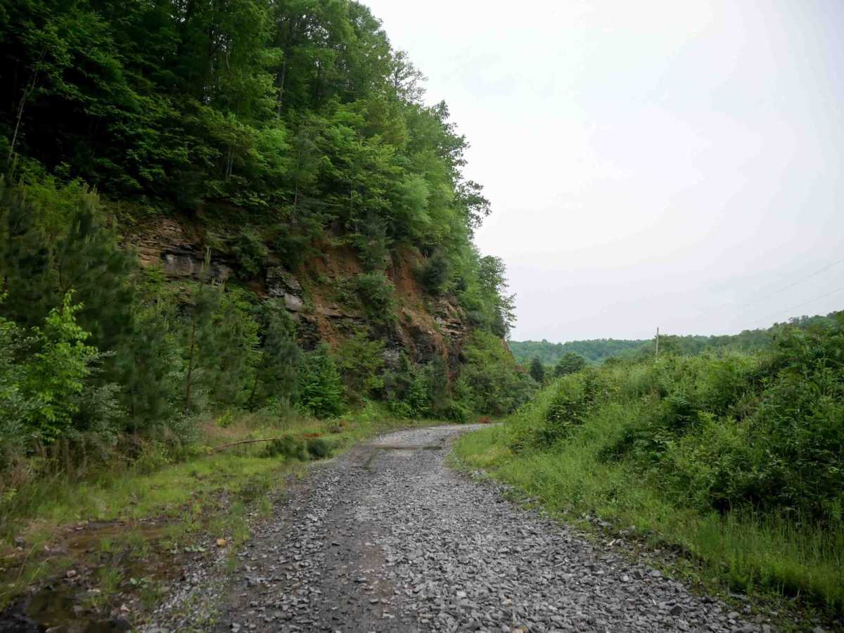 J1 photo 6
