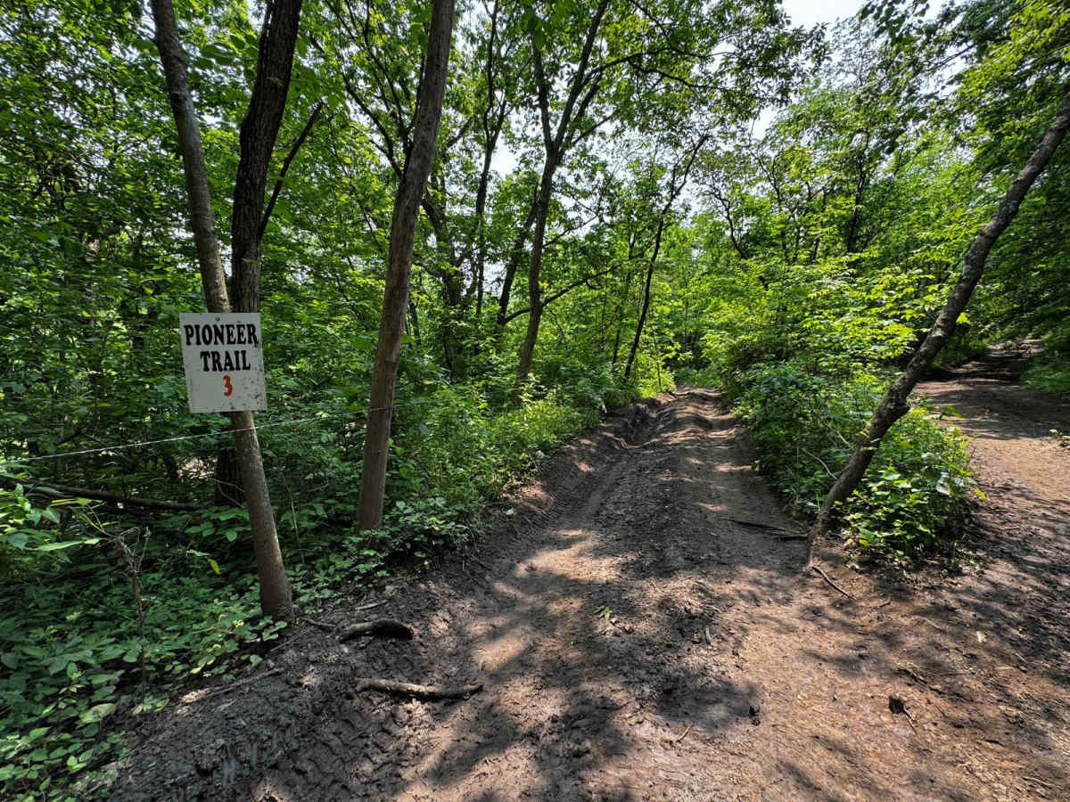 Pioneer Trail 99 photo 5