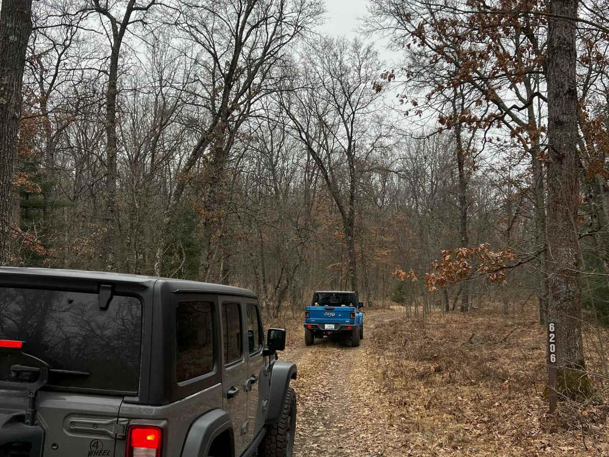 NFS 6206 trail photo