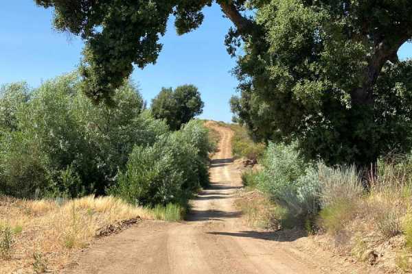 Smooth Scenic Road