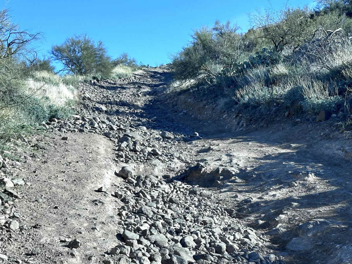 New River Trail photo 3