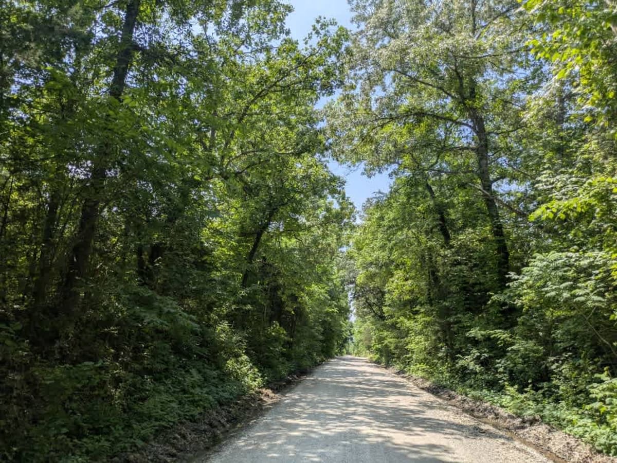 Memorial Drive photo 3