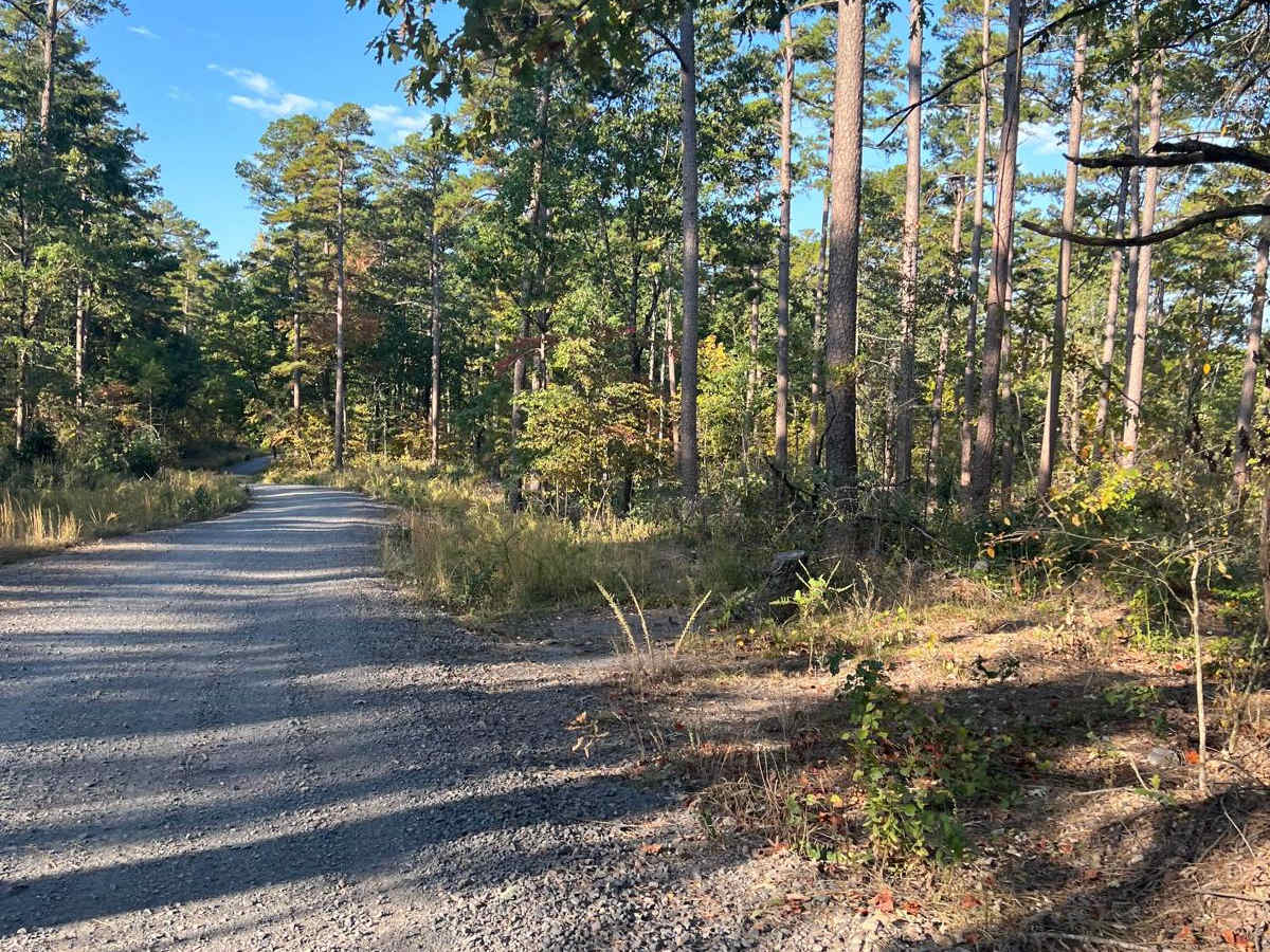 Nunley Road photo 2