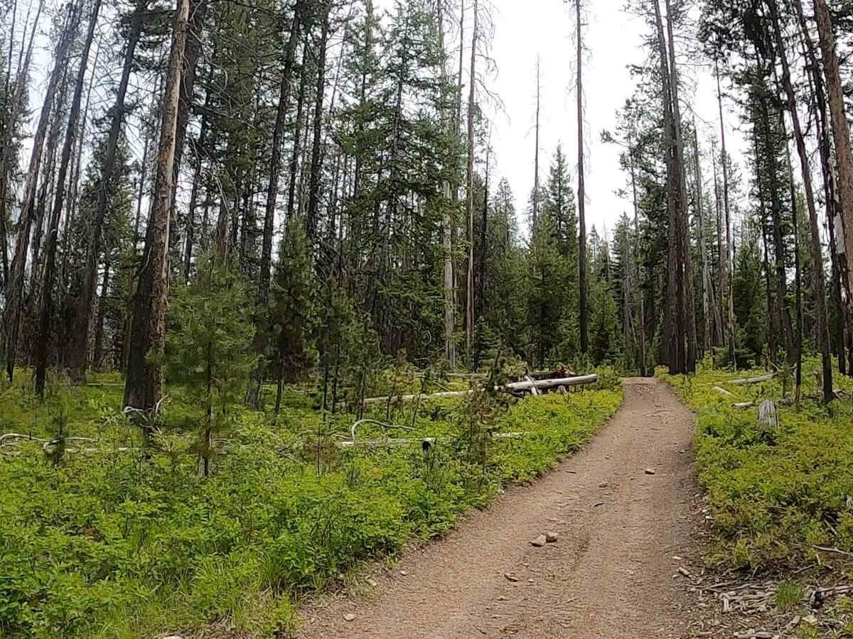 Telephone Ridge Trail #112 photo 3