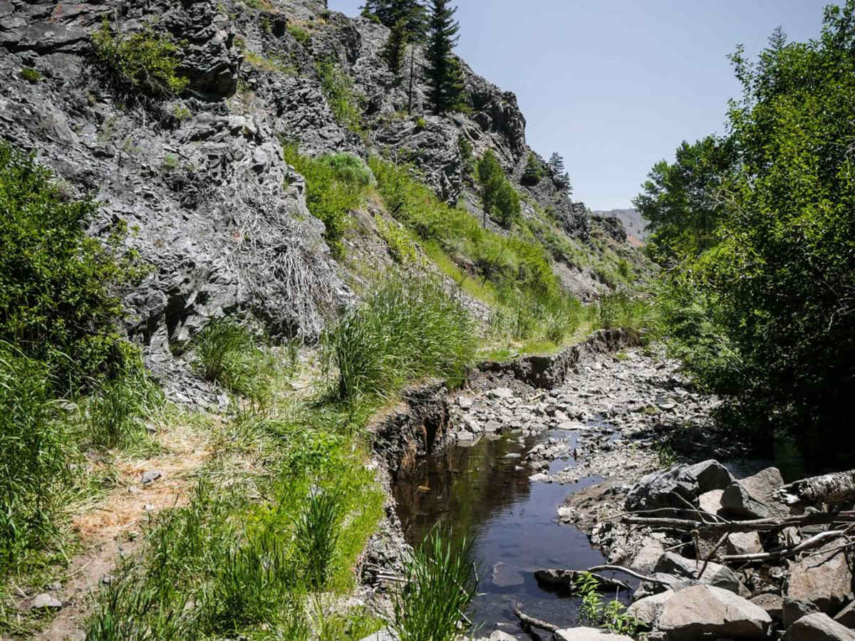 Kinsey Creek ATV Trail trail photo