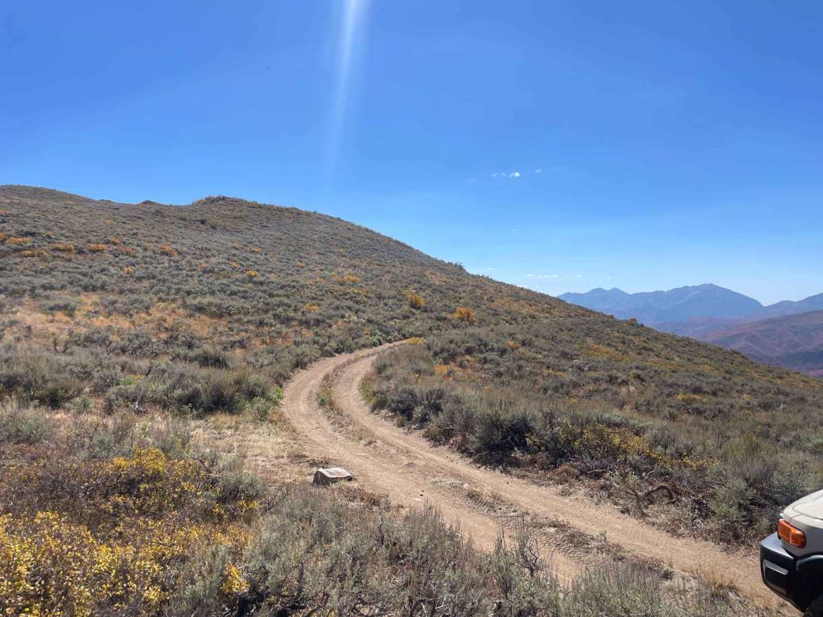 Polly Ridge trail photo
