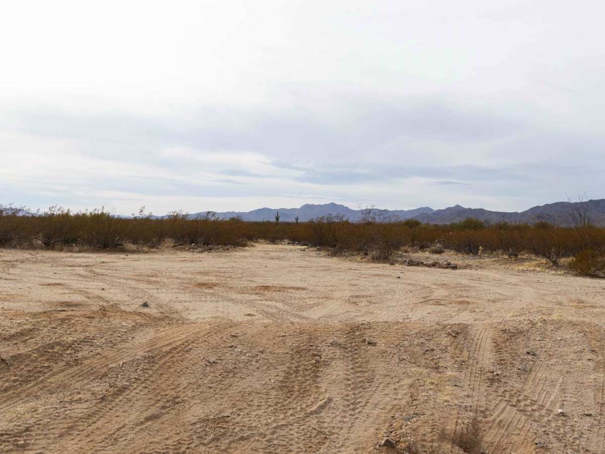 Bonanza Mine photo 6