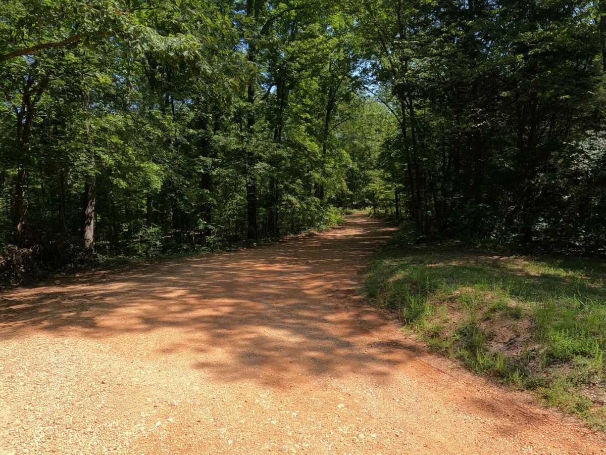 Charlton Bluff/Seematter Hollow Road photo 2