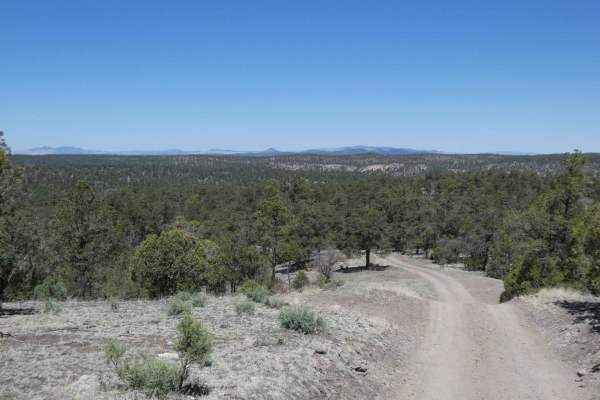 Frank's Ranch Road