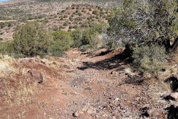 Juniper Hill Loop
