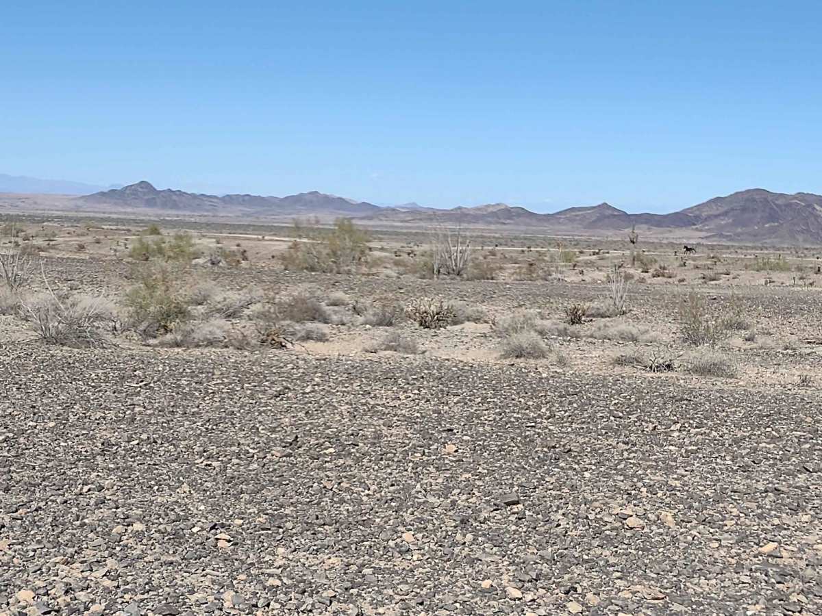 Ehrenberg to Diablo Pass photo 4