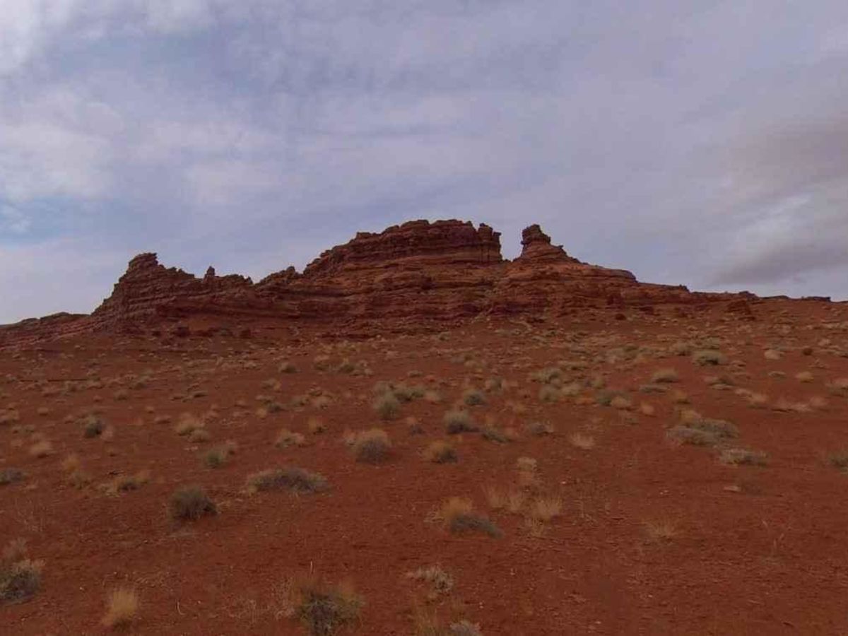 White Canyon Road trail photo
