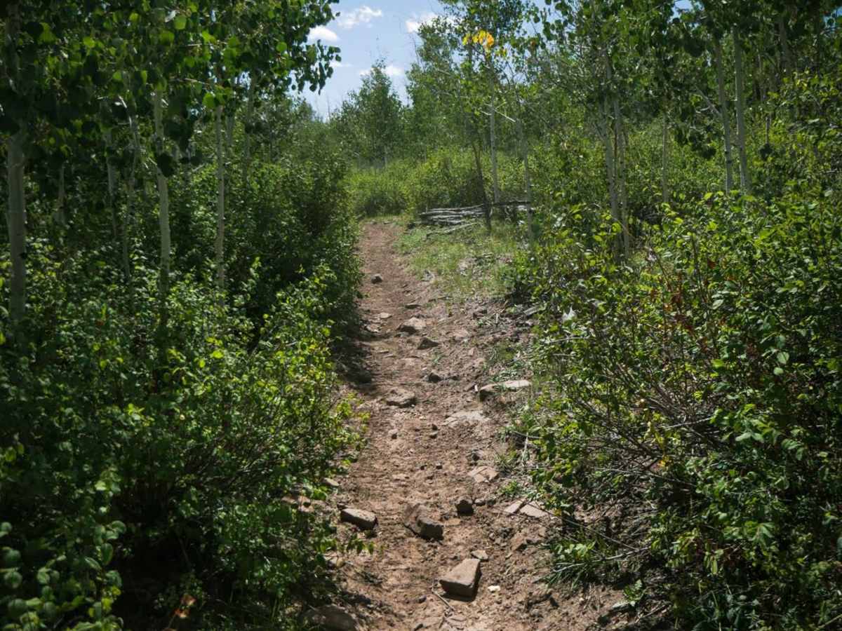 Morrison Trail (Part 2) photo 4
