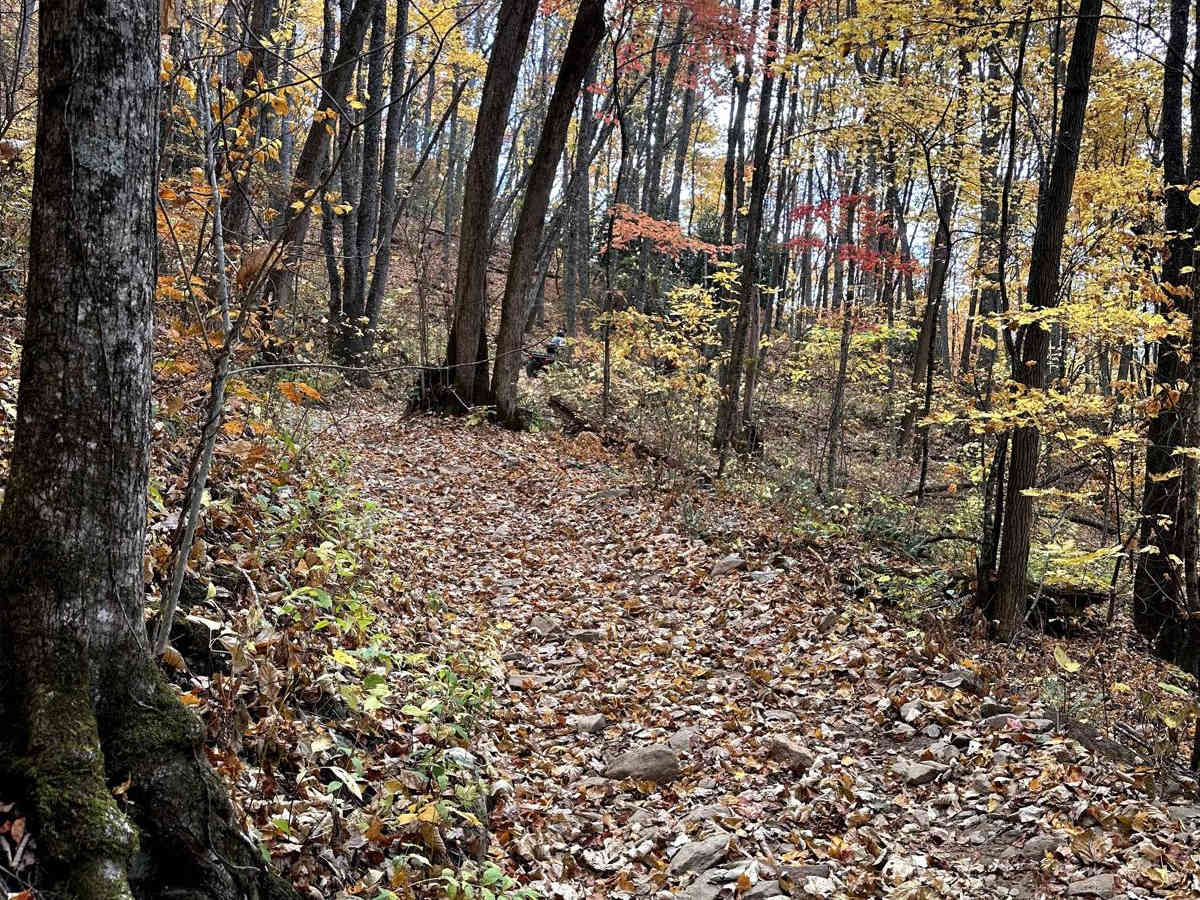 Trail 1 - Wayehutta Loop photo 6