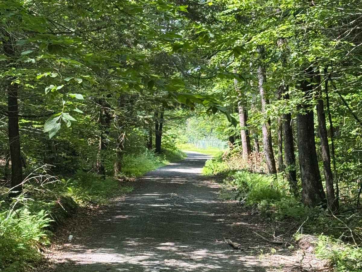 Blum Road photo 6