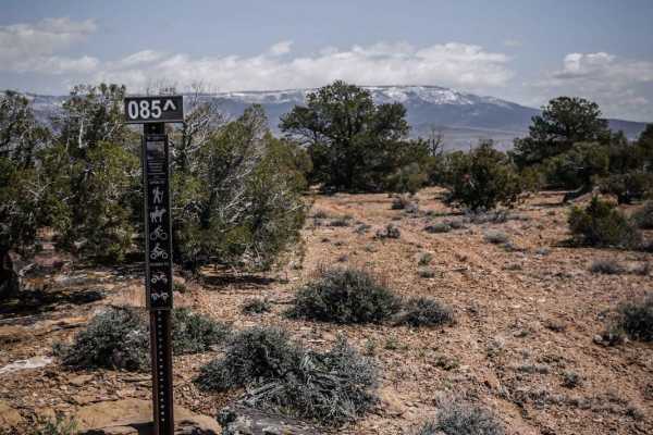 BLM Route 85