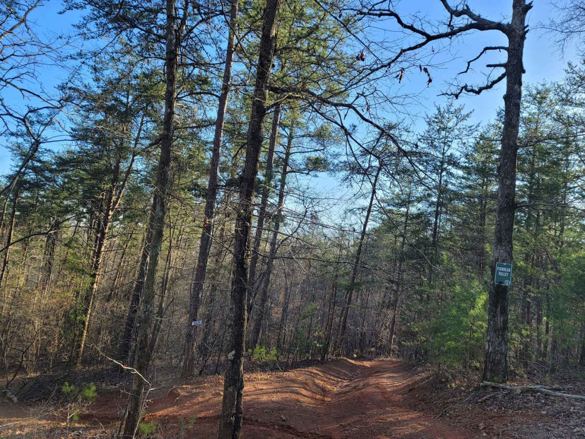 Fishhead Valley trail photo