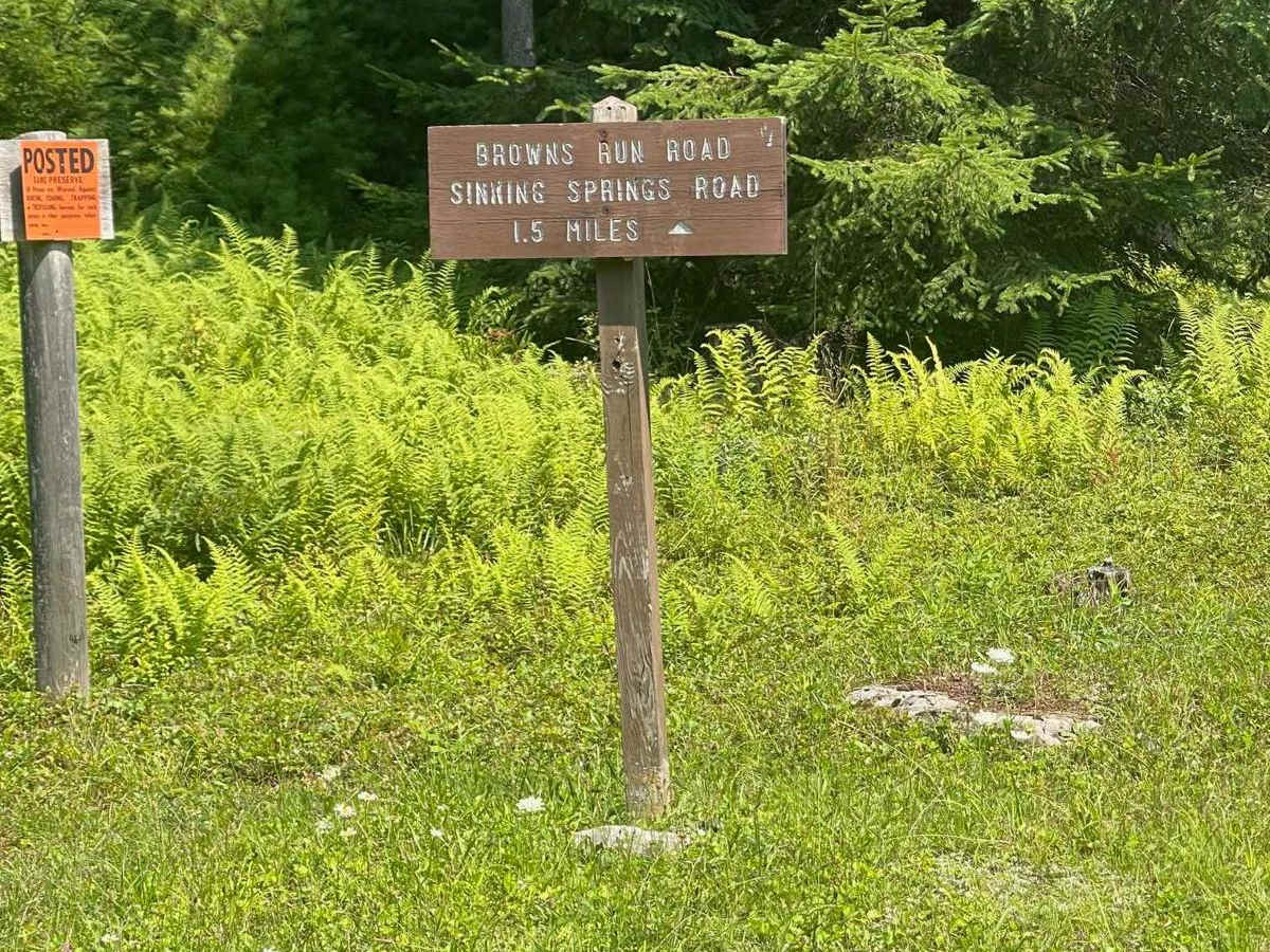 Browns Run Road photo 5
