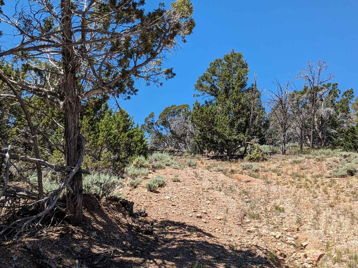 Johnny Canyon photo 3