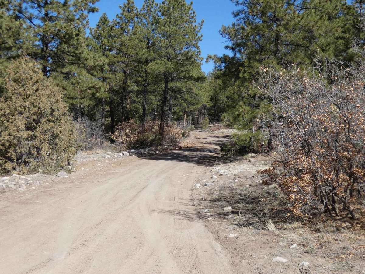Tusas Ridge photo 2