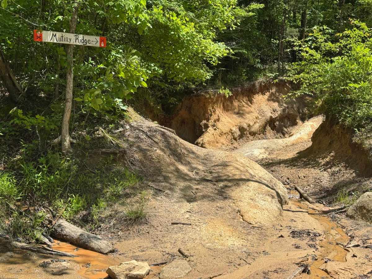 Mutiny Ridge trail photo