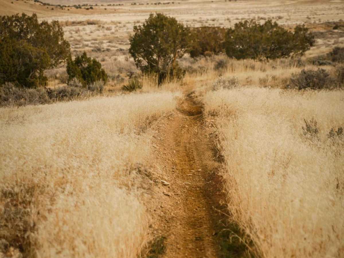 Trails 135 and 136 photo 5