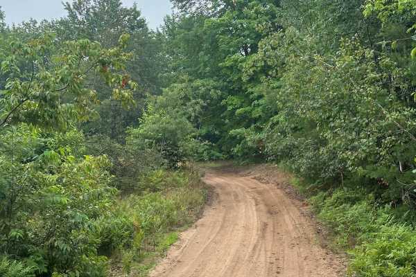 Fortine Spur