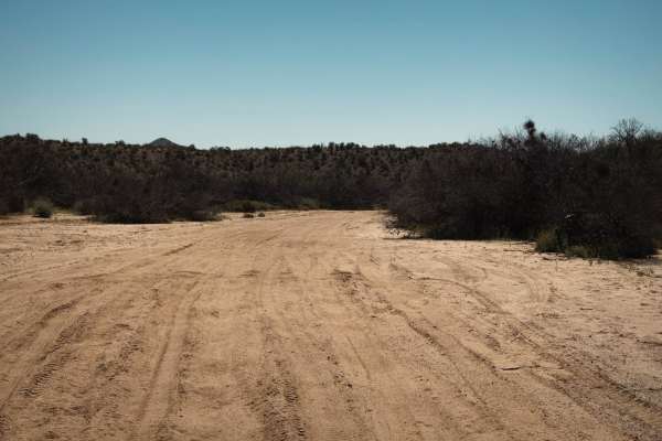Lower Martinez Creek