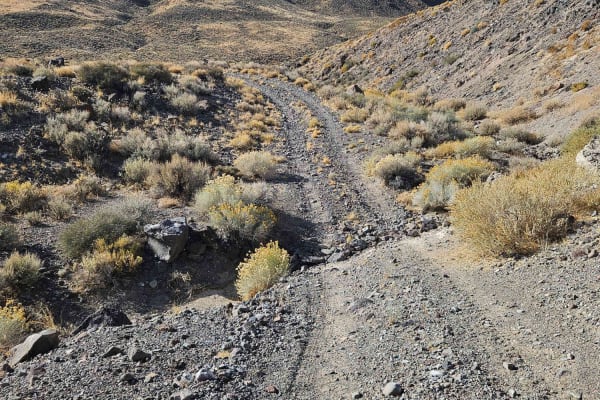 Rattlesnake Canyon