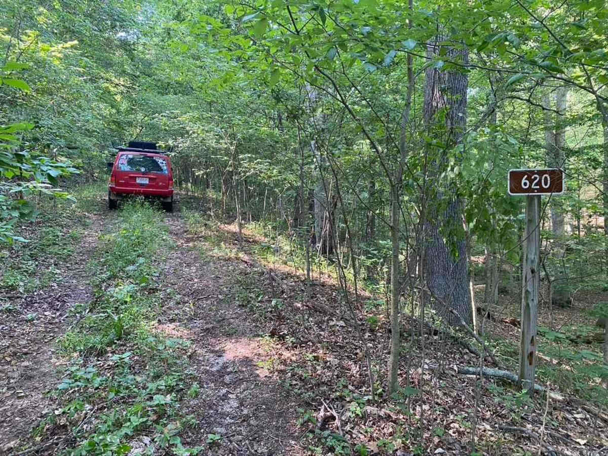 Burner Hill FSR 620 photo 4
