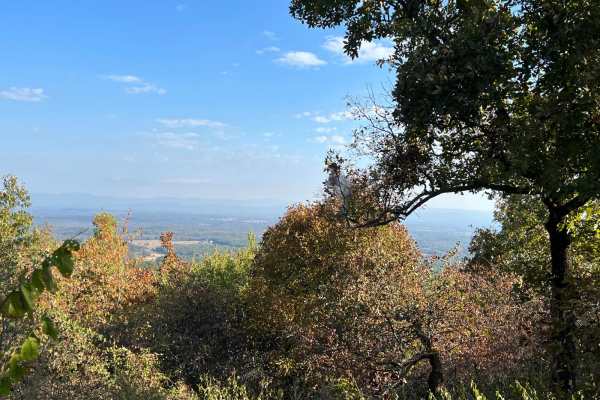 High Point Vista